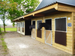 Paardenstallen binnenboxen | Stallenbouw