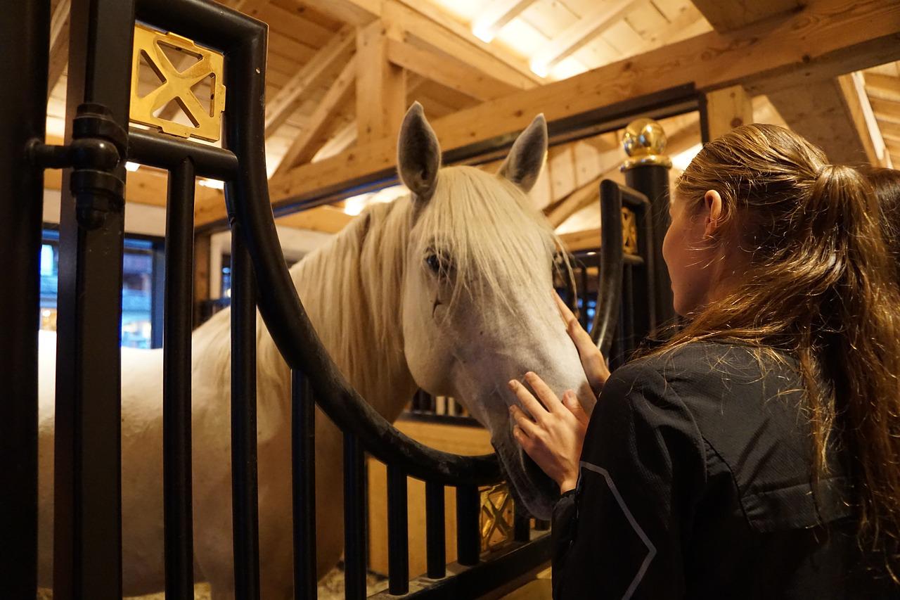 paardenboxen met halve deur